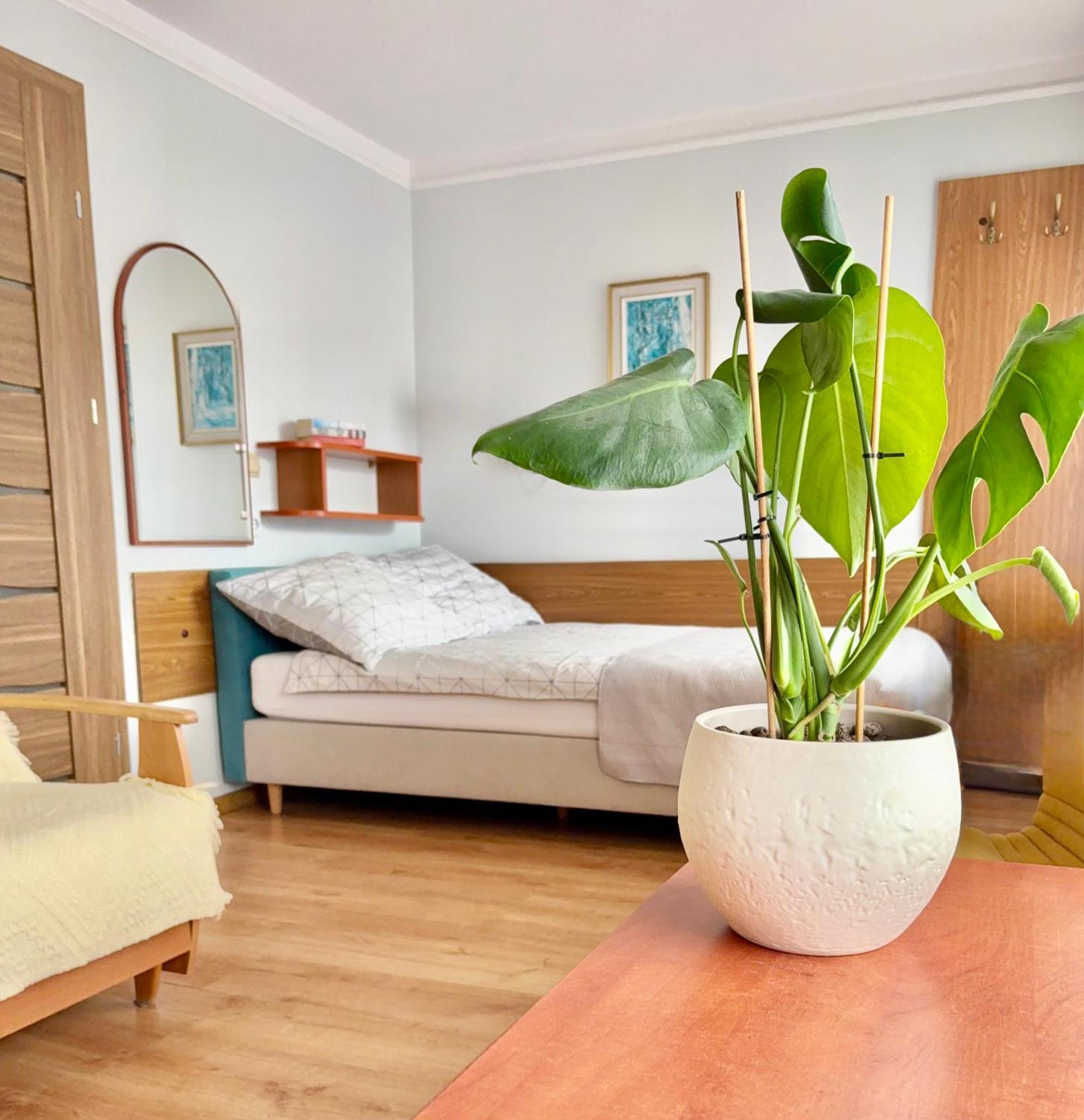 Bed and Breakfast Fonica Leba Exterior foto